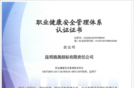 職業(yè)健康安全管理體系認證